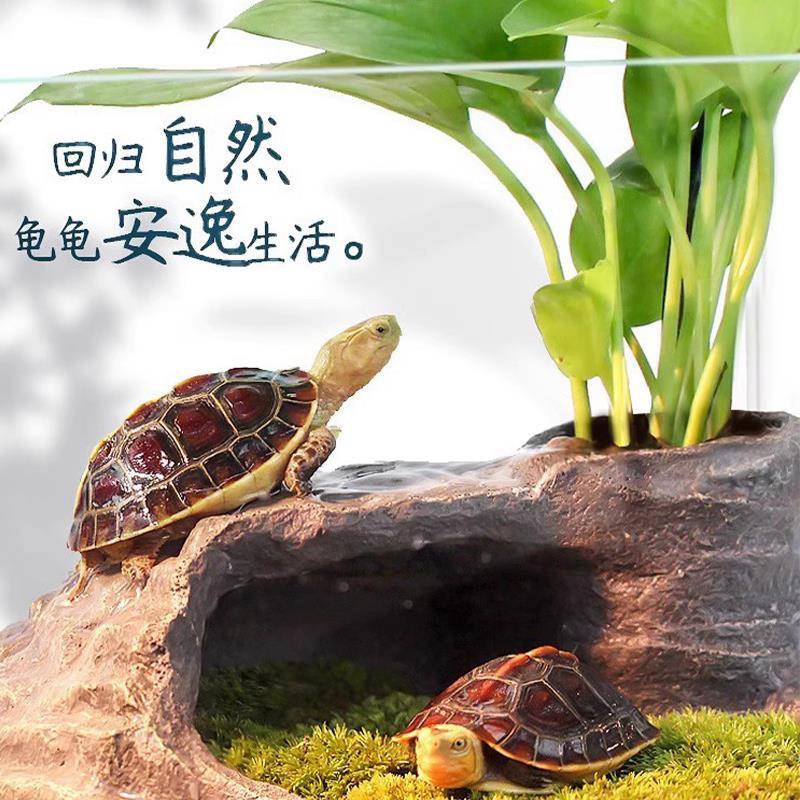 乌龟晒台爬台造景晒龟台晒背台躲避洞屋缸微景观高水位浮岛深水龟