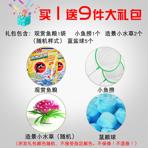 热弯玻璃桌面鱼缸 免换水生态迷你鱼缸 技研精工客厅小型水族箱