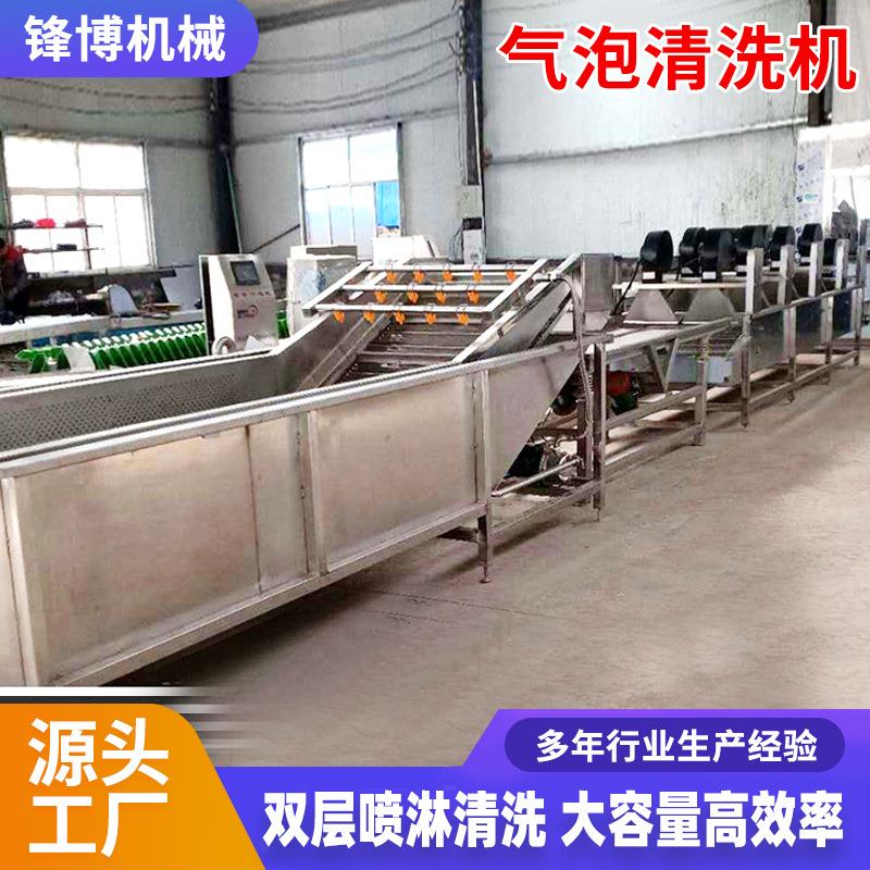 果蔬气泡清洗机预制菜清洗加工设备大型全自动叶菜类气泡清洗机