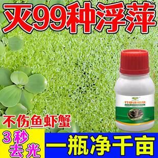 浮萍一扫光鱼池除藻去苔剂水产养殖除水草藻水花生净化水质清除剂