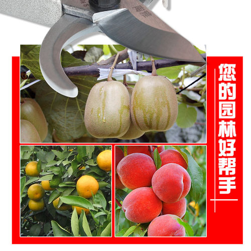 陶雅SK-5钢修枝剪H2果树剪省力园林园艺嫁接摘果树枝粗枝盆景剪刀