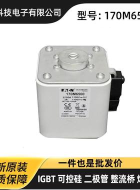 170M6207 170M6258 170M6259高压快速熔断器 熔芯 巴斯曼