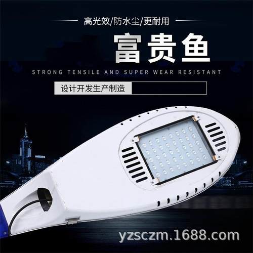 LED模组路灯头100W150W200W250W户外道路照明太阳能富贵鱼灯头