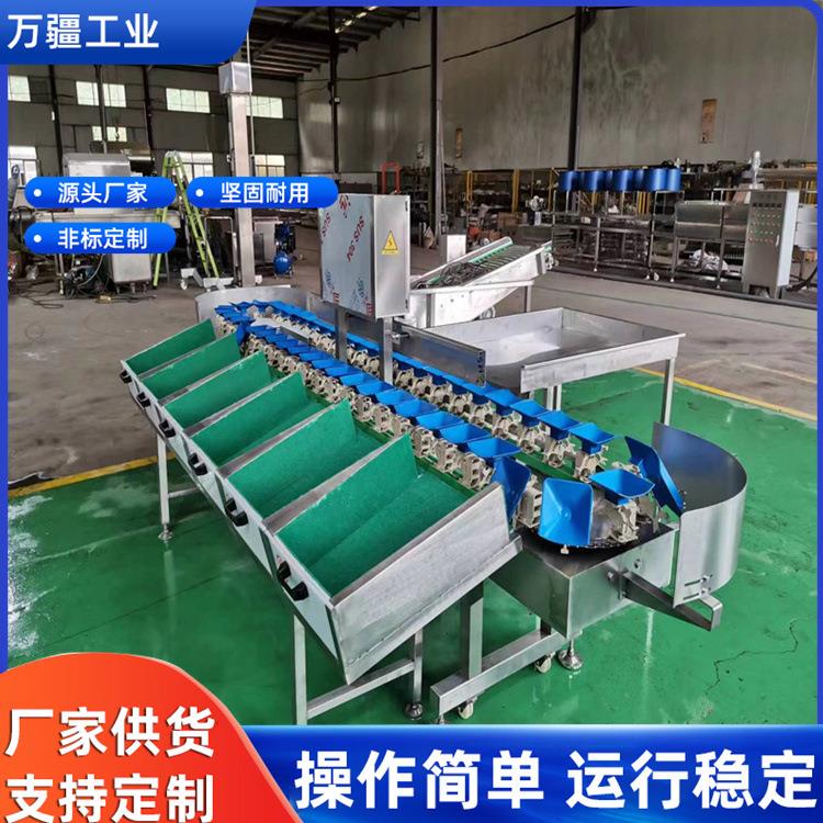 大型全自动砂糖橘重量分选机百香果称重选果机农产品红薯分拣机