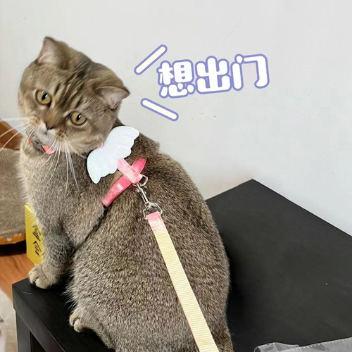 猫咪牵引绳防挣脱外出专用可调节幼猫翅膀绳子宠物小狗链子遛猫绳