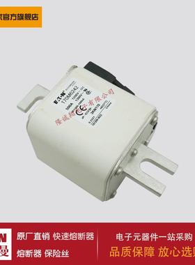 熔断器170M6242 170M6243 170M6244 170M6245 170M6246 170M6247