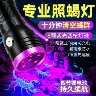 大功率365/395nm紫光灯照蝎子荧光检测猫癣灯紫外线鉴定紫光手电