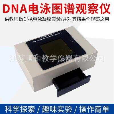 DNA电泳图谱观察仪 27028 物理中学实物观察器 实验室演示学器材
