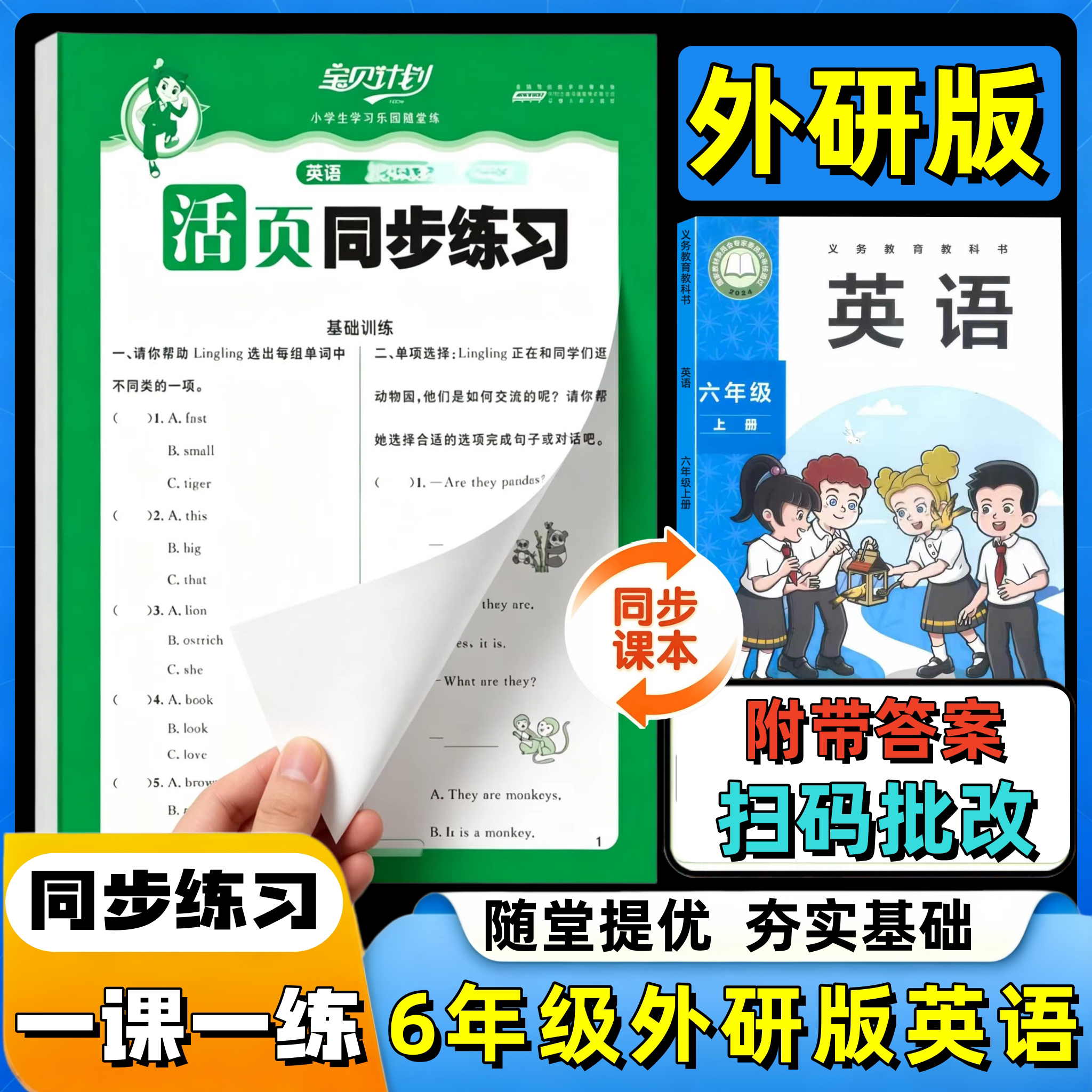 小学外研版英语随堂练习册图片
