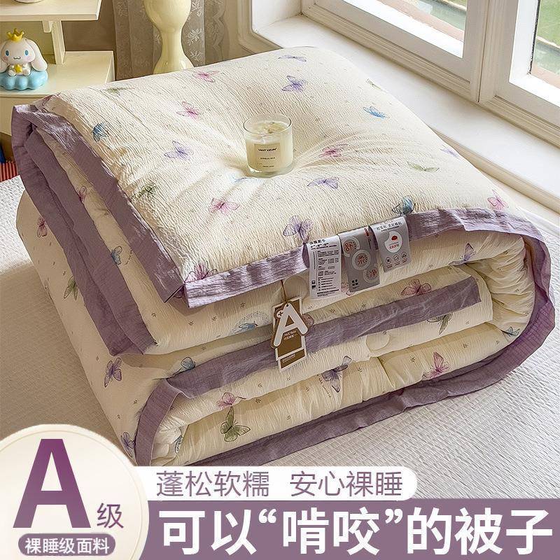 2025新款冬被高克重加厚保暖被子冬季新品抗寒锁温加厚被芯春秋被
