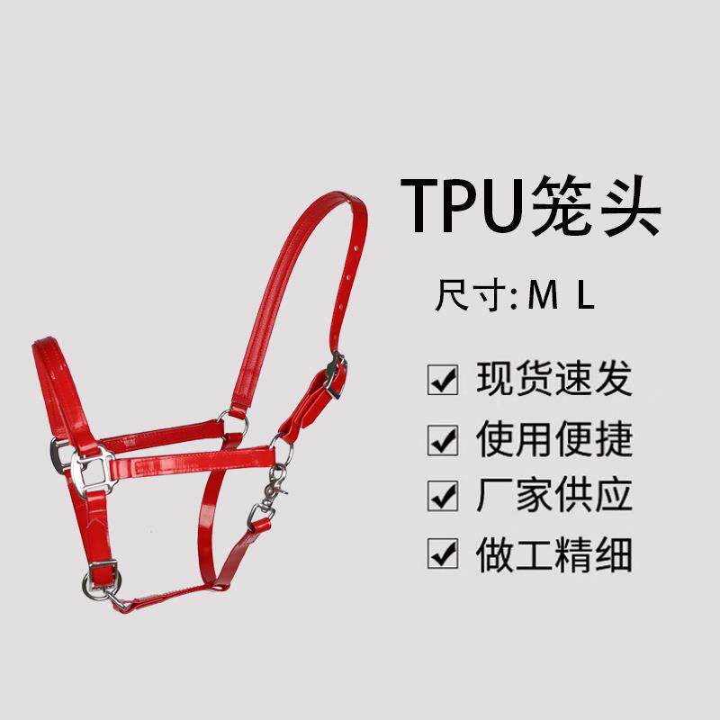 TPU笼头 牵马笼头牵马装备可调节耐用马术用品马具用品马龙头