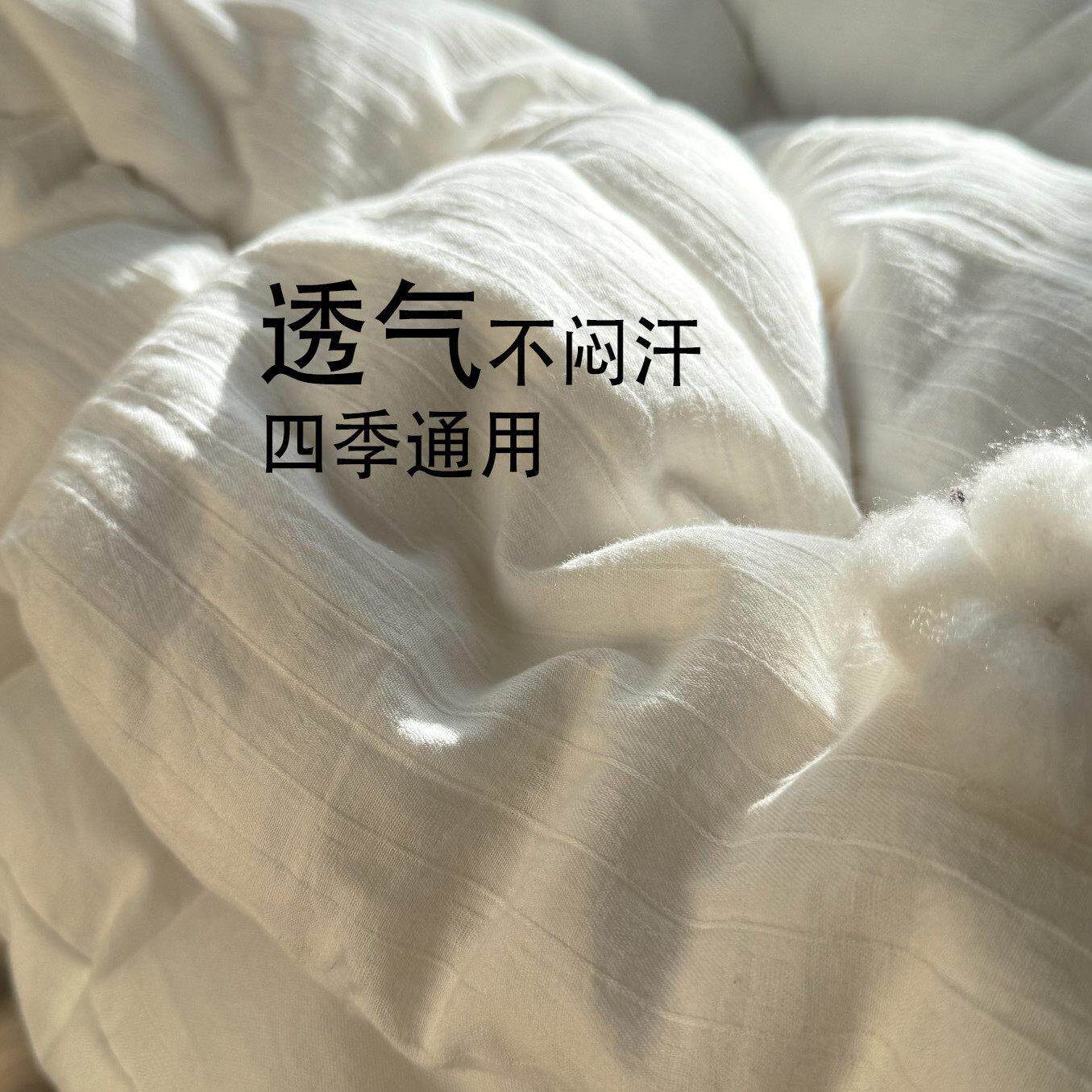 儿童子冬纯被加厚棉10%全0棉儿NAO童被芯幼儿园被新生儿被褥棉花
