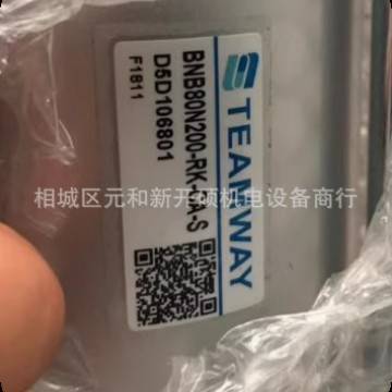 teamway气缸RTMF-10X180-L-C1-SG1