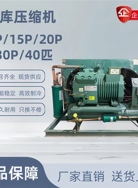 4G-30.2-40P 4GE-30Y-40 6G-30.2Y-40P比泽尔低温冷库压缩机