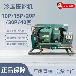4GE 30Y 30.2Y 40P 40P比泽尔低温冷库压缩机 30.2
