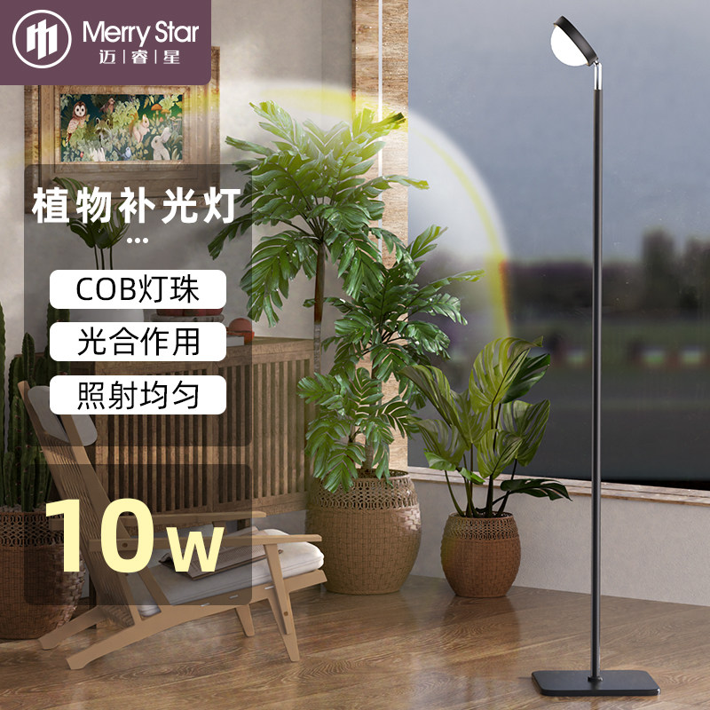 迈睿星室内植物灯多肉补光灯全光谱仿太阳光热植阳台绿植生长灯