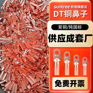 DT铜鼻子 紫铜接线端子铜线鼻子电缆线耳线耳接头 供应成套厂