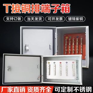 矿物电缆T接箱接线端子分流箱等电位转换转接箱绝缘紫铜排分支箱