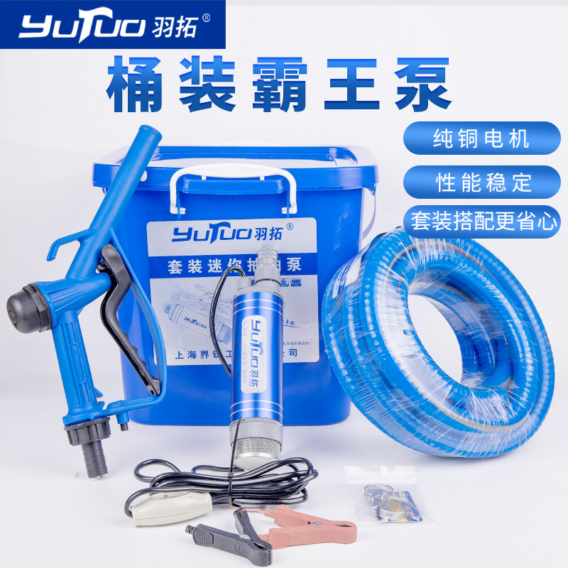 羽拓霸王泵12v/24v电动抽油泵120w大功率加油泵便捷式柴油泵套装