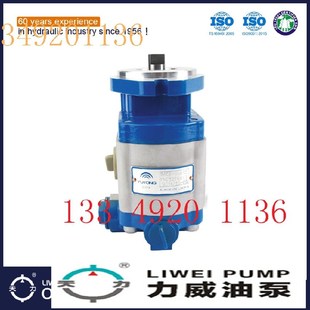 合肥力威汽车转向油泵助力泵 非开挖合肥天力 QC12/23-EQ齿轮油泵