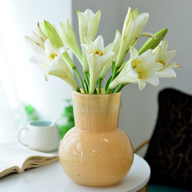 手工糖果彩色亮瓷玻璃袈裟奶茶色圆口大肚多头玫瑰花瓶水养插花器