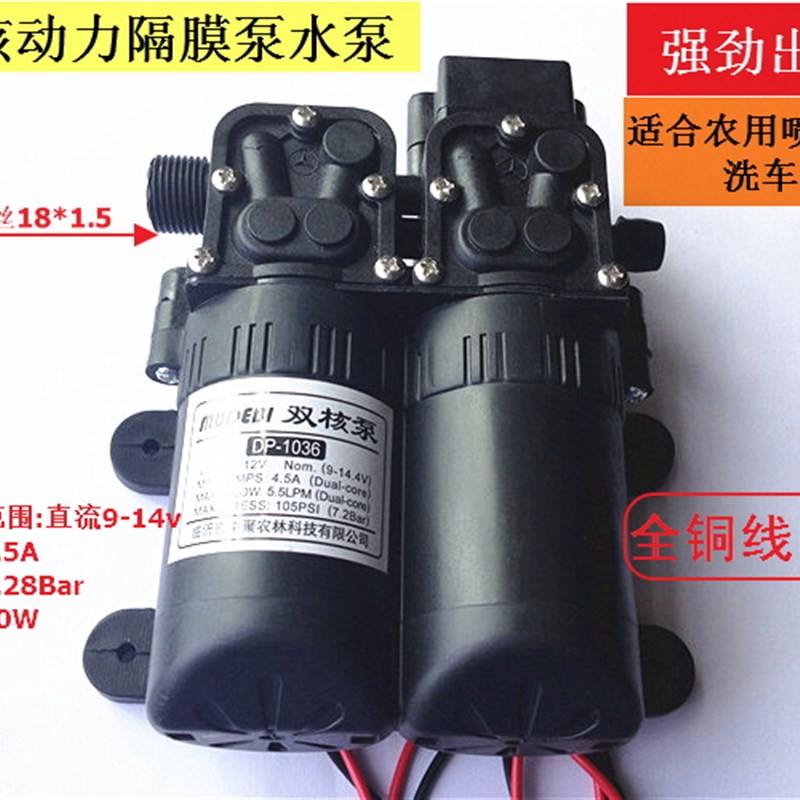 新款大功率电动喷雾器隔膜泵洗车双动力增压泵12V双核水泵压力泵