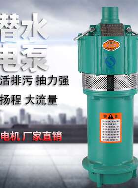 QD多级潜水泵家用220V小水泵厂家高扬程单相抽水机农用灌溉清水泵