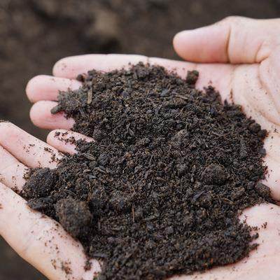 羊粪发酵肥农家肥种菜种花肥,3C数码配件,其它配件,淘宝优惠券,粉丝福利购,淘宝优惠卷