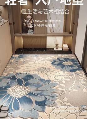 入户门比利时绒布底TPR底地垫门垫进门玄关地毯大门口新款感家用