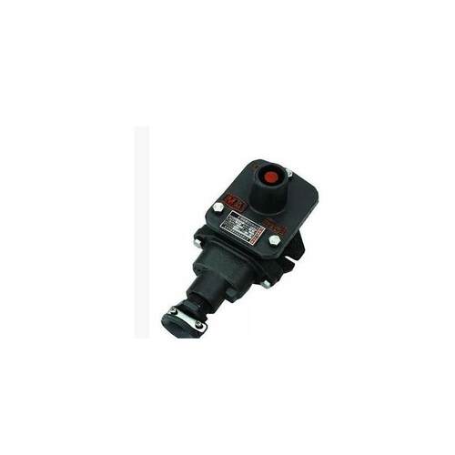 BZA1-5/127单联按钮 矿用隔爆型控制按钮BZA10-5/36-1 防爆型按钮