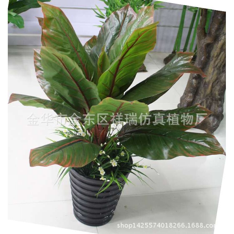 仿真植物假树叶盆栽象腿蕉叶小美人蕉叶芭蕉叶落地盆景客厅