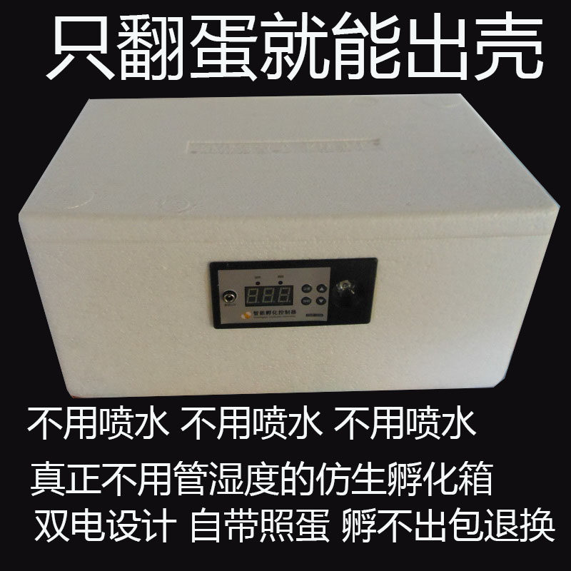 自制仿生水床孵化箱小鸡孵化器小型家用型孵化机智能控温孵蛋箱