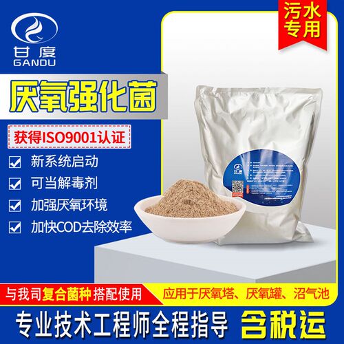 污水处理菌种 厌氧强化菌产甲烷加快降解COD总氮提升产气量厌氧剂