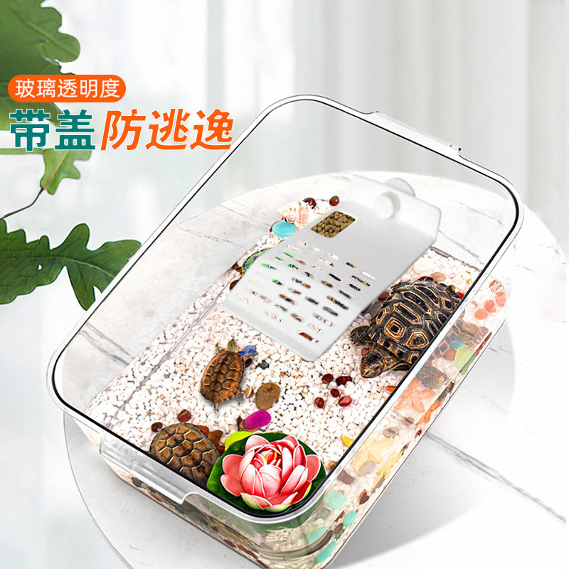 高透塑料龟缸客厅生态带晒台家用防摔水陆加高加厚爬宠乌龟饲养箱