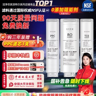 V7000a V4000a V15芯 S2000a 洁净世家适用滨特尔净水器滤芯V3000