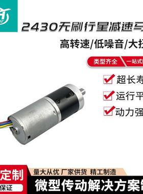 可2430无刷行NEU星减速达马12V微型齿轮大调速扭力马达直流减速电