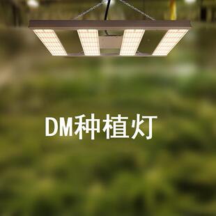 德国植物生长灯ledgrowlgt温室h大棚种植全CQKi光谱补光灯