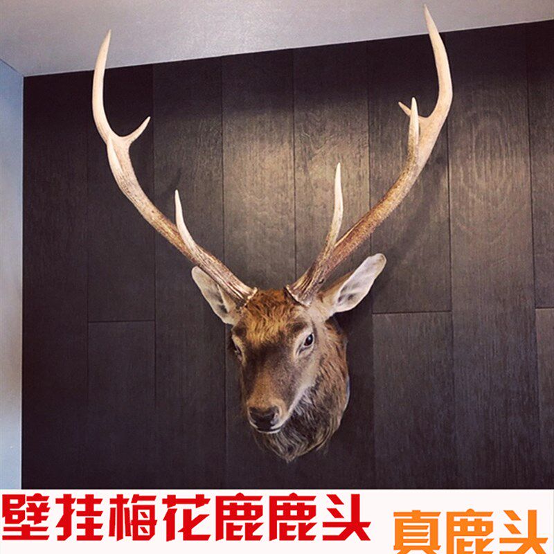 壁挂鹿头梅花鹿真鹿头壁炉玄关客厅背景墙电视墙鹿头挂花鹿小花鹿