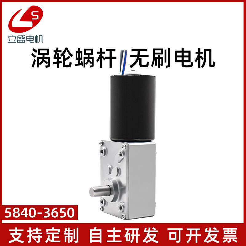 5840-3650直流无刷减速电机低速大扭力蜗轮蜗杆调速微型电机马达