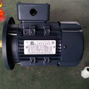 上海金陵雷戈勃劳伊特电机 YSJ7124 370W 1400转 三相异步电动机