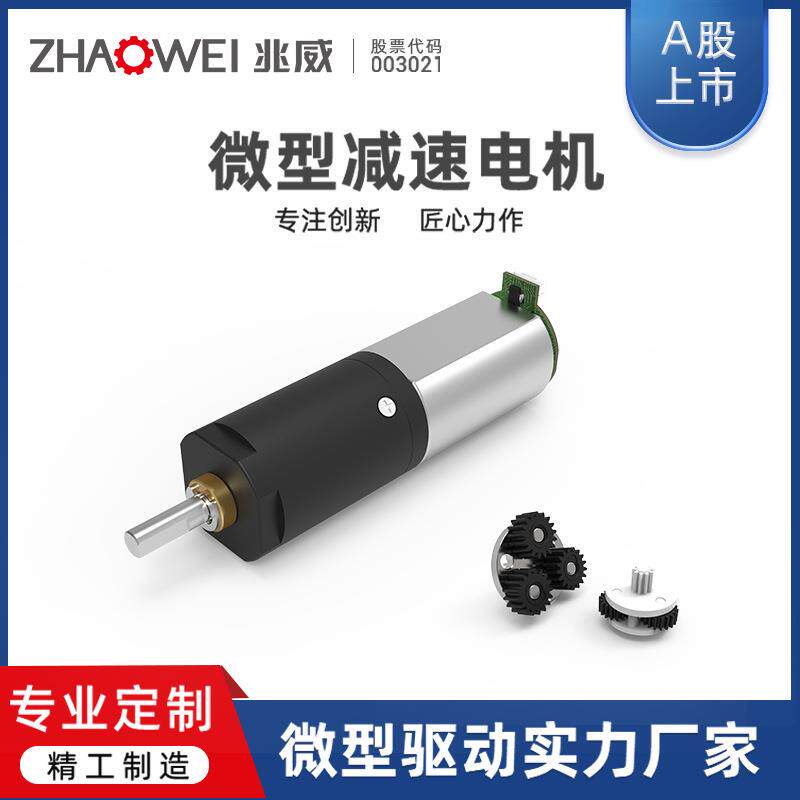 微型直流电机 水果榨汁机低噪音大扭矩齿轮箱12v小型减速电机