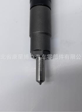 德尔福28559935喷油器总成 德尔福国五喷油器玉柴D5H00精密