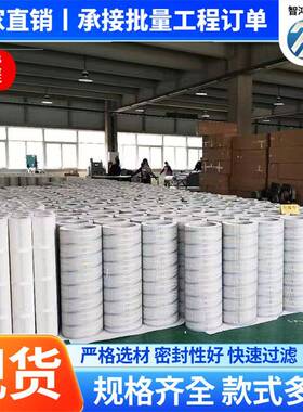 供应电厂除尘用自洁式空气除尘滤芯3251000压缩机空气过滤器滤筒