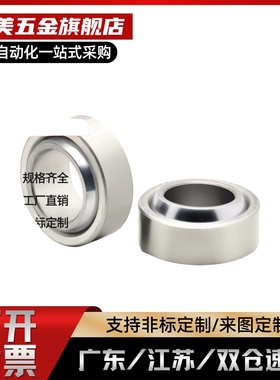 向心关节轴承BNN01-GE5C-GE6C-GE8C-GE10C-GE12C-GE15-GE17