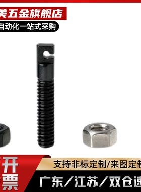 SAIPOK4/M5/M6不锈钢缺口孔型拉伸弹簧用支柱 FFL11