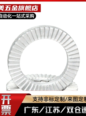 NLDF/NLDP 3 4 5 6 8 10 12 16 20 22 24 27双叠防松动垫圈