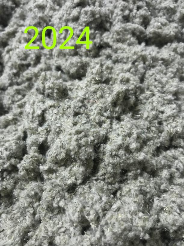 2025湛江今年田艾绒,田艾草,做艾糍粑用的,艾籺,田艾