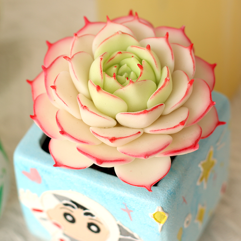 树脂粘土手工仿真多肉植物盆栽办公室桌面摆件迷你多肉手工花DIY