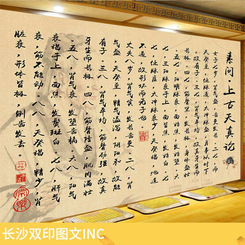 素问上古天真论墙纸中医养生馆药店诊室文化形象背景墙装饰壁画