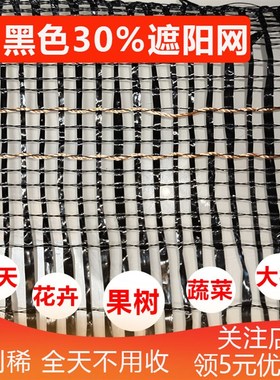 黑色30密度遮阳网平针抗老化高透光果园果树樱桃蔬菜大棚花卉农用
